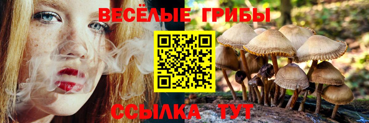 Псилоцибиновые грибы Psilocybine cubensis  Псилоцибиновые грибы мицелий  продажа наркотиков  Вход с VPN  Мирный 